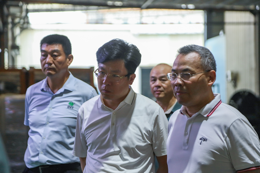 广东东莞商用厨具经销商必看：3C标准商用炉具源头厂家的合规解决方案